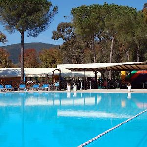 Camping Lacona